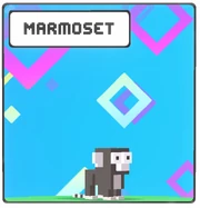 Marmoset icon