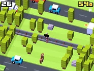 Railroad (15 KB) The player approaching a railroad.