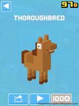 Thoroughbred.jpg