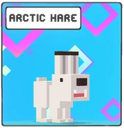 Arctic Hare icon