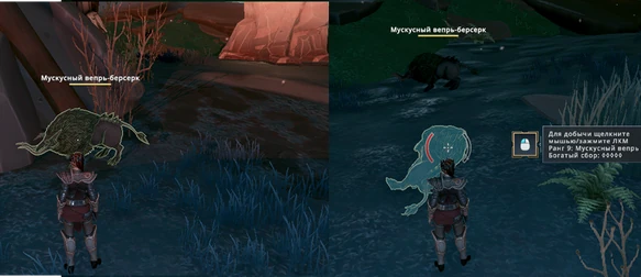 Скорнячество