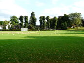 Gulls Whitgift