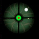 Abominator (Found) Inverts gravity when activated.