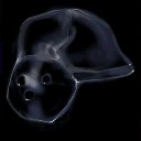 Composite Helmet ($1,000) Gives the wearer a chance to block all damage on getting hit, but also has a chance of breaking.