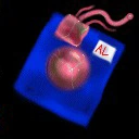 Alien Leg Wetware ($4,000) Increased kick power.