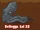 SoT32c5.png