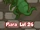 SoT24c5.png
