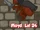 SoT24c6.png