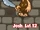 SoT12c4.png