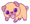 Cute Puppy