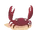 Crab