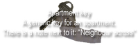 Apartment key
