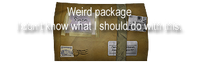 Package