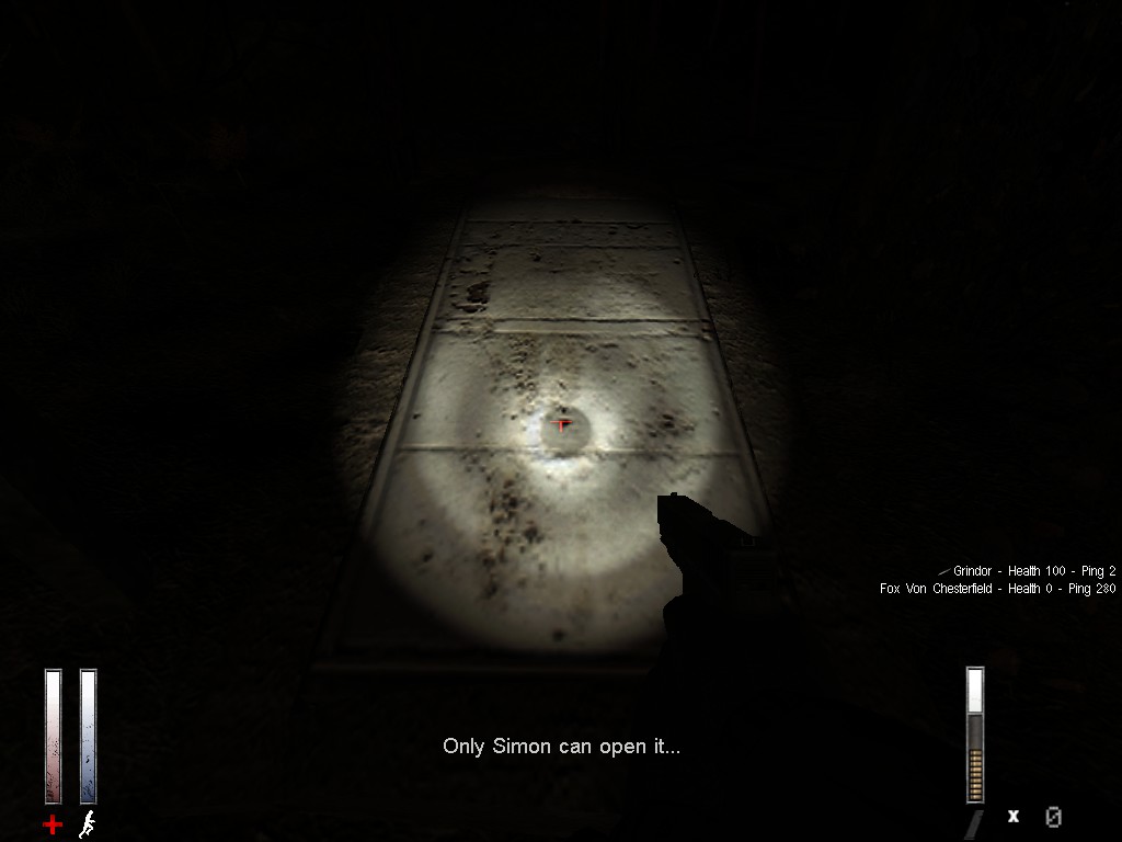 cry of fear co op setup