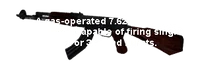 Inventory description