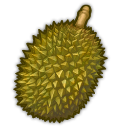 Durian Icon