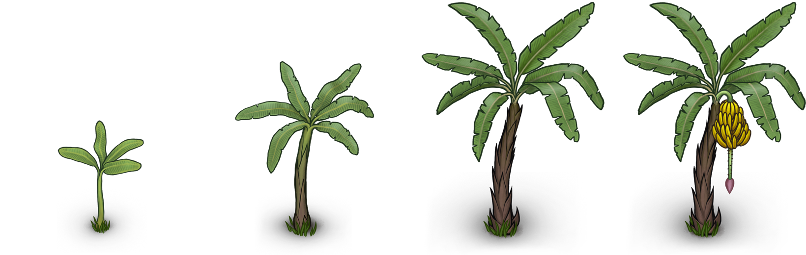 Banana Tree - Official CryoFall Wiki Banana Tree - Official CryoFall Wiki
