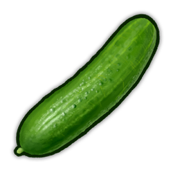 Cucumber Icon