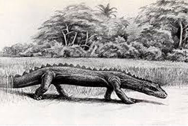 Mokele-mbembe (SciiFii), Idea Wiki