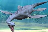 A plesiosaur