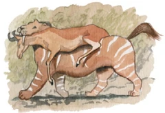 Depiction of a  carrying prey by  in  (2009).