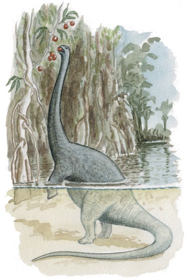 Mokele-mbembe, Encyclopaedia of Cryptozoology