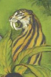 Illustration of the mourou-ngou by .