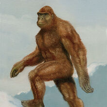 Yeti Encyclopaedia Of Cryptozoology Fandom