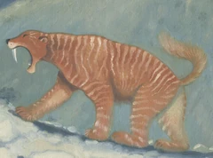 A tigre de montagne depicted by  in  (2009).