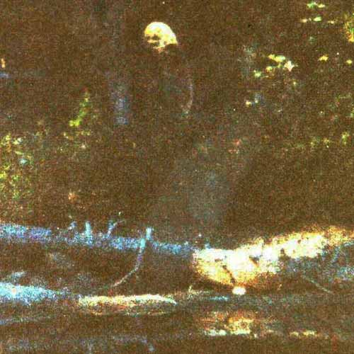 Old Yellow Top Encyclopaedia Of Cryptozoology Fandom