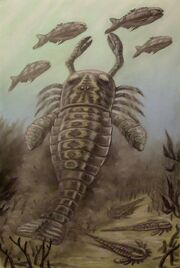 Many-finned sea serpent | Encyclopaedia of Cryptozoology | Fandom
