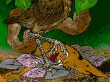 Ruruwhenua