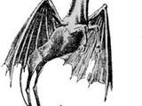 Jersey devil