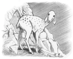 Illustration of the habéby by  in  (2009).