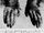 Hands of the Jiolong Mountain man-bear wildman, killed 1957.jpg