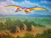 Most reports of living pterosaurs around New Guinea were collected by creationists, including the , depicted by creationist artist .
