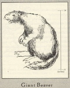 Reconstruction of a cryptozoological giant beaver by .