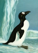 Great auk