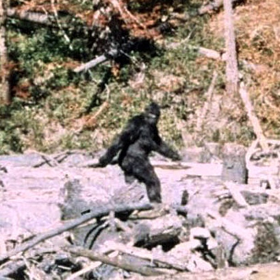 Bigfoot: The Life and Times of a Legend, Buhs