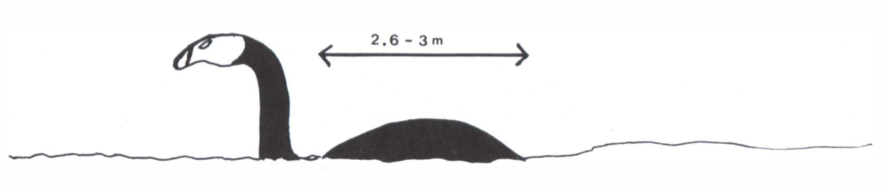 X \ LOBO در X: «#CryptozoologyMyths IL MOKELE MBEMBE #MokeleMbembe