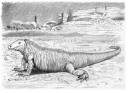 Giant Ethiopian lizard