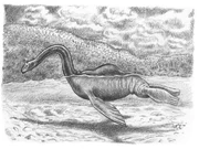 A  may be a better identity for the  than a putative , which is how  here depicts it.