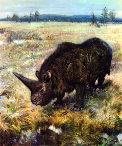 Illustration of Elasmotherium by Zdenek Burian.
