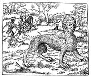 Illustration of the thanacth from André Thevet's Cosmographie Universelle (1575)