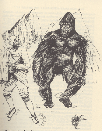 The Legend Of The Yeti Explained