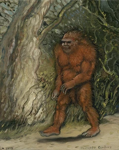 Illustration of the nittaewo by  in  (2009).