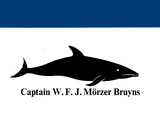 Field Guide of Whales and Dolphins