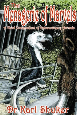 Menagerie of Marvels