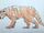 Queensland tiger