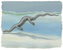 Illustration of the super-otter by  in  (2009).